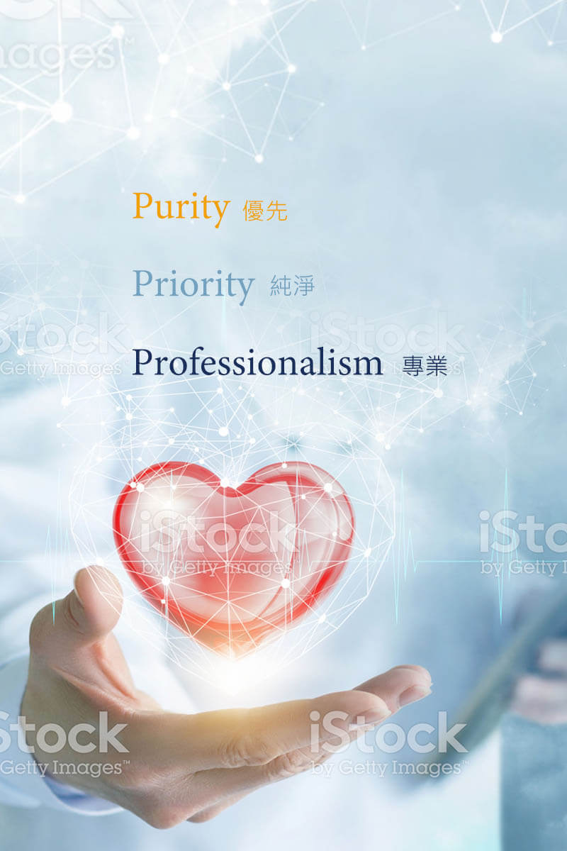 金禾宇 KING HOLLY